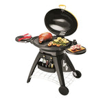 Grill gazowy Bigg BUGG