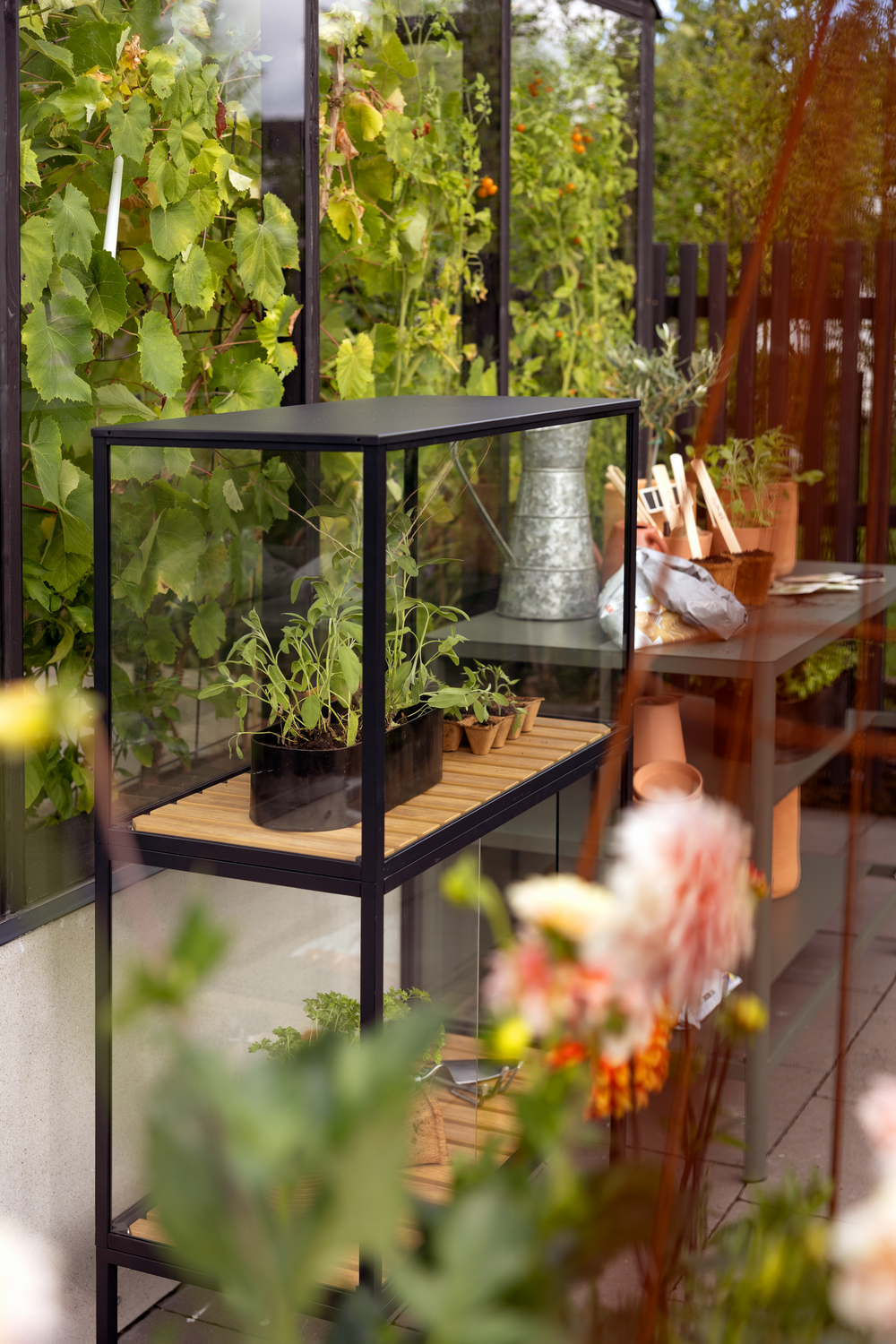 Szklarnia ogrodowa Grower