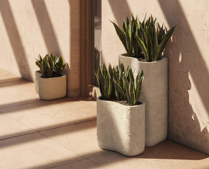 donica Milos S;donica Milos S;donica Milos S;donica Milos S