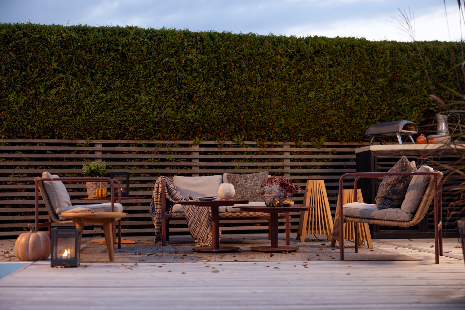 Fotel ogrodowy Motty