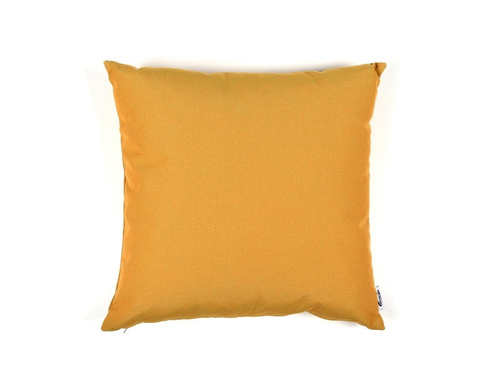 Passepartout musztardowy