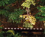 lampa Line 50 cm