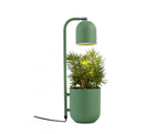 Botanica zielony