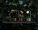 lampy biurkowe Botanica