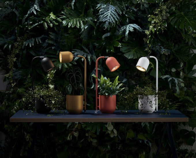 lampy biurkowe Botanica