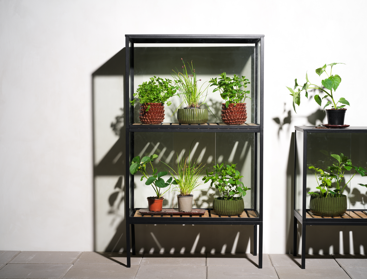 Szklarnia ogrodowa Grower
