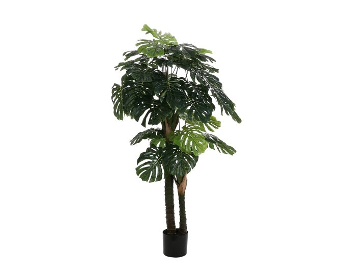 sztuczny filodenron fi90x175