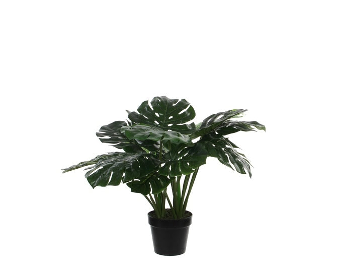Sztuczna Monstera fi80x60