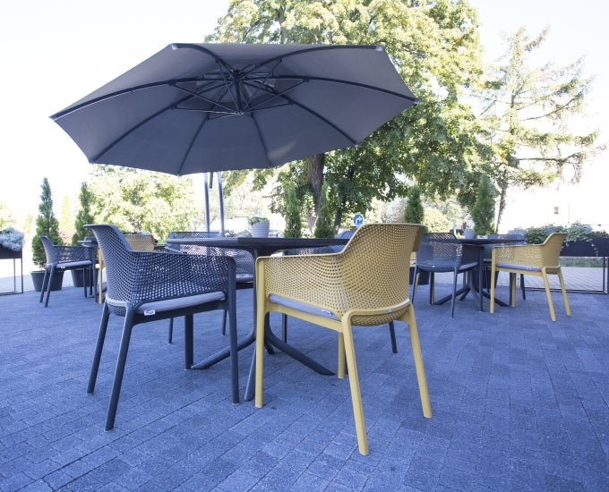 parasol Palma