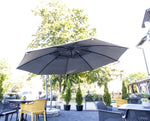 Palma parasol