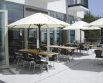 parasol Filius