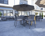 parasol Palma